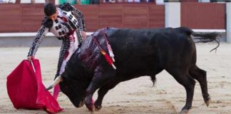 Un derechazo de Mario Diéguez esta tarde en Madrid. (FOTO: las-ventas.com)