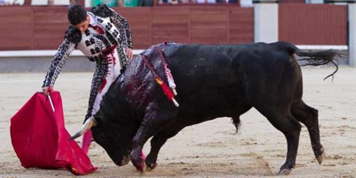 Un derechazo de Mario Diéguez esta tarde en Madrid. (FOTO: las-ventas.com)