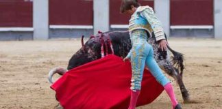 El novillero Lama de Góngora esta tarde en Madrid. (FOTO: las-ventas.com)
