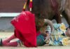 Lama de Góngora ha sido volteado sin consecuencias hoy en su presentación en Madrid. (FOTO: las-ventas.com)