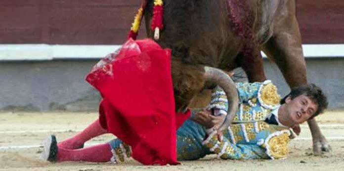 Lama de Góngora ha sido volteado sin consecuencias hoy en su presentación en Madrid. (FOTO: las-ventas.com)