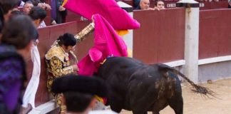 Morante lo pasó mal con el quinto hoy en Madrid. (FOTO: las-ventas.com)