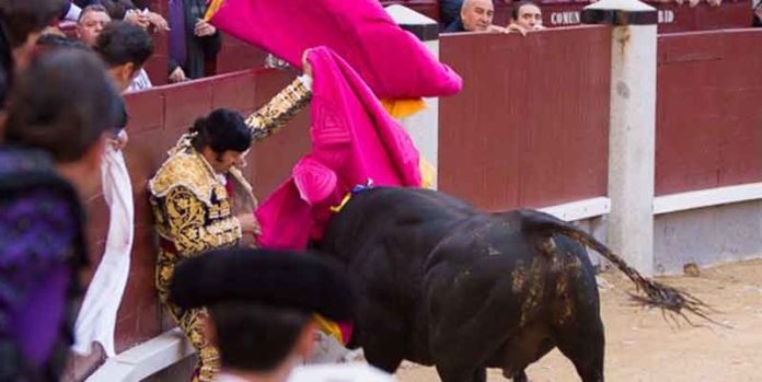 Morante lo pasó mal con el quinto hoy en Madrid. (FOTO: las-ventas.com)