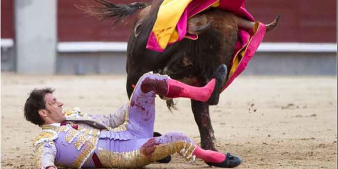 La voltereta de Nazaré en Madrid. (FOTO: las-ventas.com)