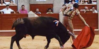 El novillero utrerano Curro Durán.