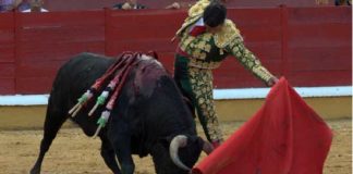 Morante toreando hoy en Badajoz. (FOTO: Gallardo/badajoztaurina.com)