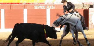 Diego Ventura, en su actuación hoy en Plasencia (FOTO: González Arjona/Toromedia)