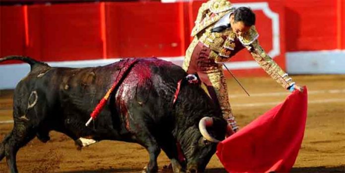 El Cid, esta tarde en Santander. (FOTO: Juan Manuel Serrano / mundotoro.com)