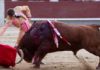 Buen derechazo de Miguel Ángel León esta tarde en Madrid. (FOTO: las-ventas.com)