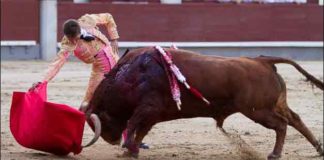 Buen derechazo de Miguel Ángel León esta tarde en Madrid. (FOTO: las-ventas.com)