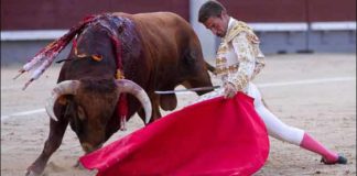 El sevillano Miguel Ángel León, hoy en Madrid. (FOTO: las-ventas.com)