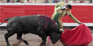 Gran natural de El Cid esta tarde a un toro de Victorino Martín en Bilbao. (FOTO: Manu de Alba / mundotoro.com)