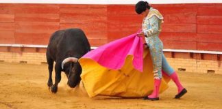 Lama de Góngora toreando hoy de capote en Huelva. (FOTO: Xosé Andrés)