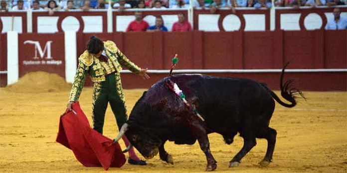 Excelente muletazo de Morante al quinto de la tarde hoy en Málaga. (FOTO: Santana de Yepes / mundotoro.com))