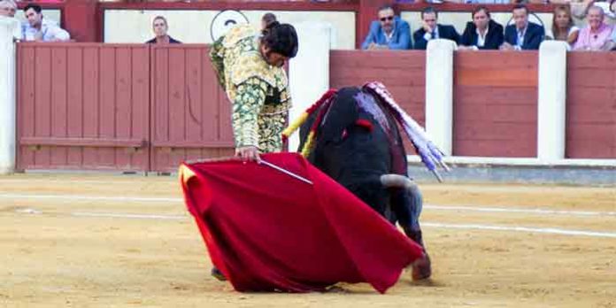 Morante, hoy viernes en Valladolid. (FOTO: mundotoro.com)