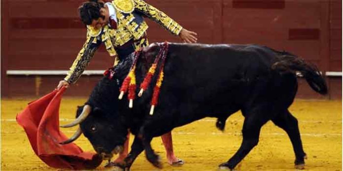 Morante, toreando esta tarde en Vistalegre. (FOTO: Julián López / mundotoro.com)