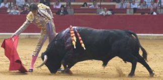 El diestro sevillano Antonio Nazaré.