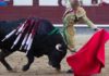 Un natural de Borja Jiménez esta tarde en Las Ventas. (FOTO: las-ventas.com)