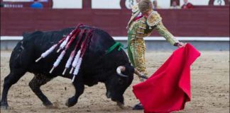 Un natural de Borja Jiménez esta tarde en Las Ventas. (FOTO: las-ventas.com)
