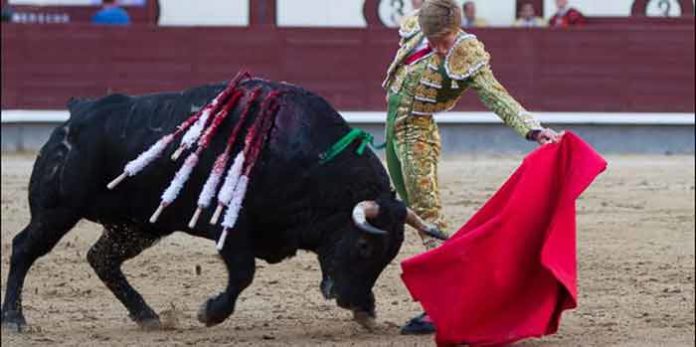 Un natural de Borja Jiménez esta tarde en Las Ventas. (FOTO: las-ventas.com)