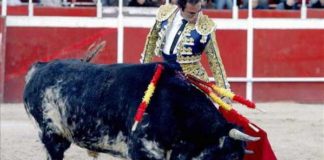El diestro sevillano Salvador Cortés.