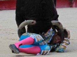 Escribano, baja al resentirse del percance de Nimes La cornada de Manuel Escribano en Nimes el pasado 19 de septiembre. (FOTO: Anthony Maurin)
