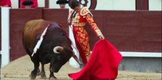 Un bello muletazo de Daniel Luque esta tarde en Madrid. (FOTO: las-ventas.com)