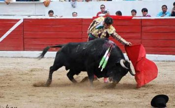 Morante, toreando en Latacunga (Ecuador). (FOTO: Juan Carlos Sabay / mundotoro.com)