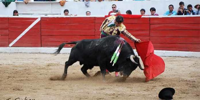 Morante, toreando en Latacunga (Ecuador). (FOTO: Juan Carlos Sabay / mundotoro.com)