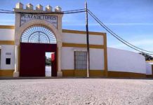 Plaza de toros sevillana de Alcalá del Río.