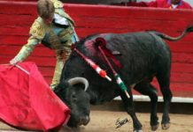 El novillero sevillano Borja Jiménez.