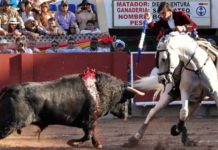 El rejoneador sevillano Diego Ventura en su actuación en San Cristóbal. (FOTO: Franco Zamid Escalante Medina)