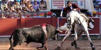 El rejoneador sevillano Diego Ventura en su actuación en San Cristóbal. (FOTO: Franco Zamid Escalante Medina)