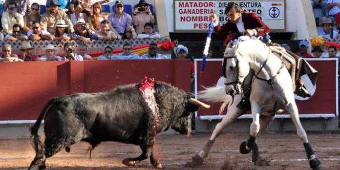 El rejoneador sevillano Diego Ventura en su actuación en San Cristóbal. (FOTO: Franco Zamid Escalante Medina)