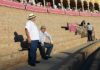 Sin las figuras, la Maestranza volverá a lucir mucho cemento en sus tardes de toros. (FOTO: Javier Martínez)