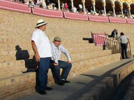 Sin las figuras, la Maestranza volverá a lucir mucho cemento en sus tardes de toros. (FOTO: Javier Martínez)