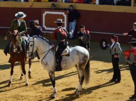 Oliva Soto triunfa en Cazalla El paseíllo del festival celebrado hoy sábado en Cazalla de la Sierra.