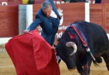 Muletazo con la derecha de Espartaco hoy en Almendralejo. (FOTO: Manuel Godoy/badajoztaurina.com)