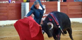 Muletazo con la derecha de Espartaco hoy en Almendralejo. (FOTO: Manuel Godoy/badajoztaurina.com)