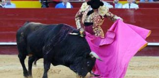 Morante toreando de capote al cuarto hoy en Valencia.