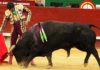 Derechazo de mano baja de Morante esta tarde en Castellón. (FOTO: Mario Juárez / mundotoro.com)