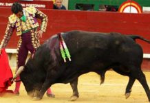 Derechazo de mano baja de Morante esta tarde en Castellón. (FOTO: Mario Juárez / mundotoro.com)