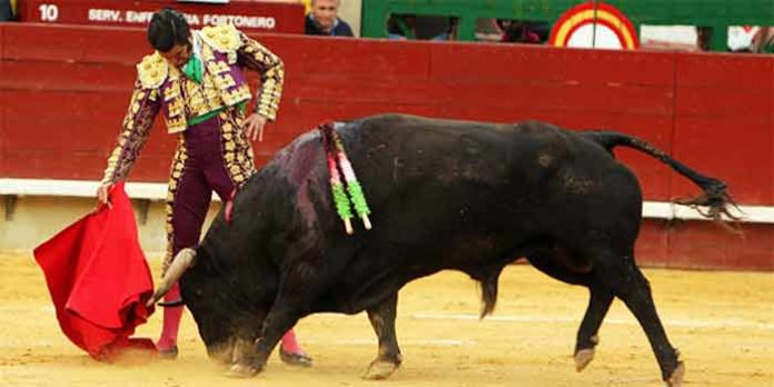 Derechazo de mano baja de Morante esta tarde en Castellón. (FOTO: Mario Juárez / mundotoro.com)