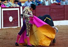 El gran toreo de Morante con el capote en el tercero. (FOTO: José Campos / badajoztaurina.com)