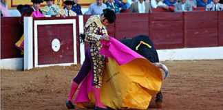 El gran toreo de Morante con el capote en el tercero. (FOTO: José Campos / badajoztaurina.com)