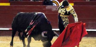 Morante, en la reciente Feria de Fallas,