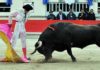 Miguel Ángel Delgado hoy en Saint Martín de Crau. (FOTO: Elsa Vielzeuf/Terres Taurines)