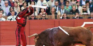 El banderillero sevillano Isaac Mesa.