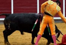 Morante, en un muletazo hoy en Brihuega. (FOTO: Julián López/mundotoro.com)