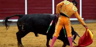 Morante, en un muletazo hoy en Brihuega. (FOTO: Julián López/mundotoro.com)